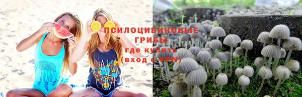 mix Алексин