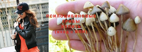 эйфоретик Алексеевка